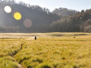 Read more about the article OPEN TRIP Pendakian Gunung Argopuro “Menyusuri Trek Terpanjang di Jawa”