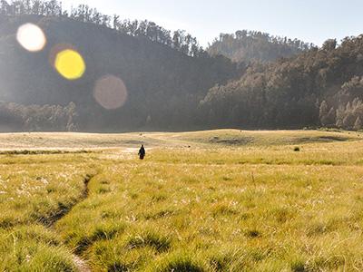 Read more about the article OPEN TRIP Pendakian Gunung Argopuro “Menyusuri Trek Terpanjang di Jawa”