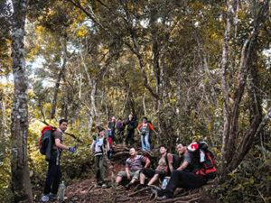 gunung cikuray