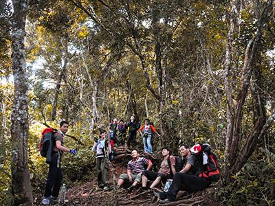 Read more about the article OPEN TRIP Gunung Cikuray