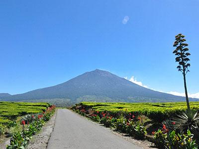 Read more about the article OPEN TRIP Gunung Kerinci & Danau Gunung Tujuh