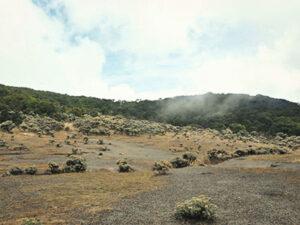 Read more about the article OPEN TRIP Gunung Pangrango