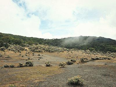 Read more about the article OPEN TRIP Gunung Pangrango