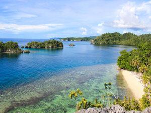 Read more about the article OPEN TRIP Eksplor Pulau Togean (++ Whaleshark Point & Palu Tour)