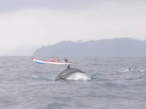 Read more about the article OPEN TRIP Eksplor Teluk Kiluan
