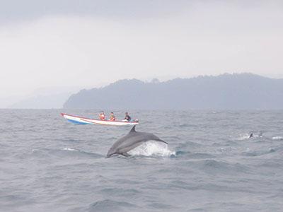 Read more about the article OPEN TRIP Eksplor Teluk Kiluan