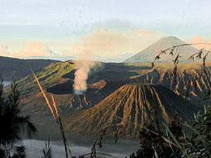 Read more about the article OPEN TRIP Gunung Bromo & Museum Angkut