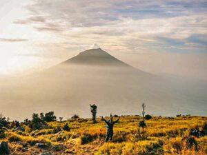 Savana Gunung Sindoro