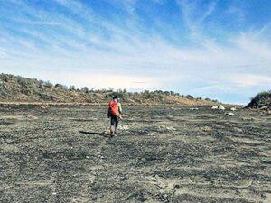 paket trip gunung sindoro